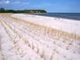 Rügen - Strand von Lobbe in Richtung Landzunge Lobber Ort