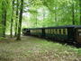 "Rasender Roland" - historische Schmalspurbahn der Insel Rügen