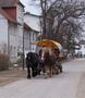 Hiddensee - Kutschfahrt in Vitte