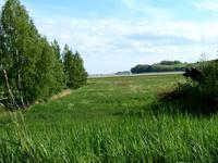 Rügen / Groß Zicker Rügen / Groß Zicker