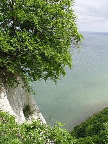 Kreideküste im Nationalpark Jasmund auf der Insel Rügen