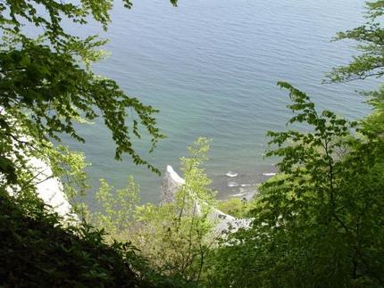 Insel Rügen -  An den Wissower Klinken - Nationalpark Jasmund - Kreideküste